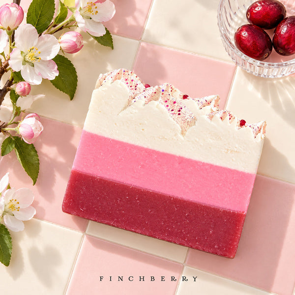 Cranberry Chutney (Boxed) - 6 bars - Wholesale Soap