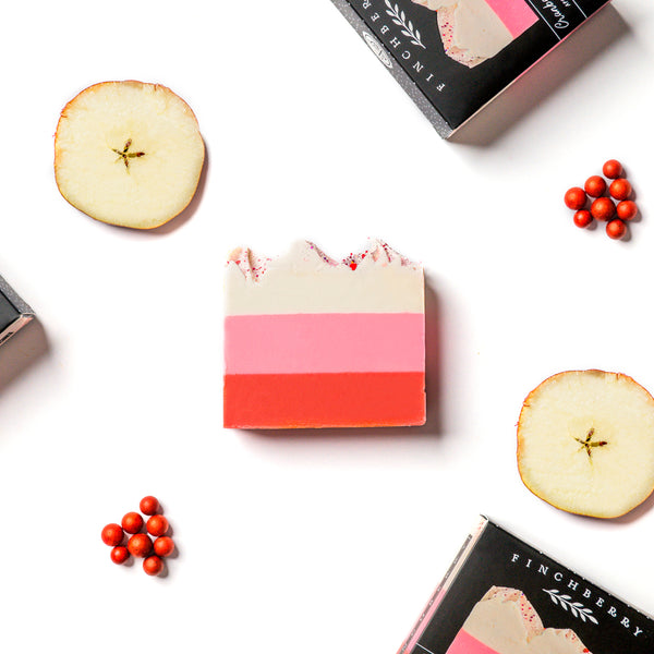 Cranberry Chutney (Boxed) - 6 bars - Wholesale Soap